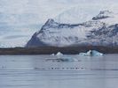voil les "diamants" icebergs dtachs du glacier