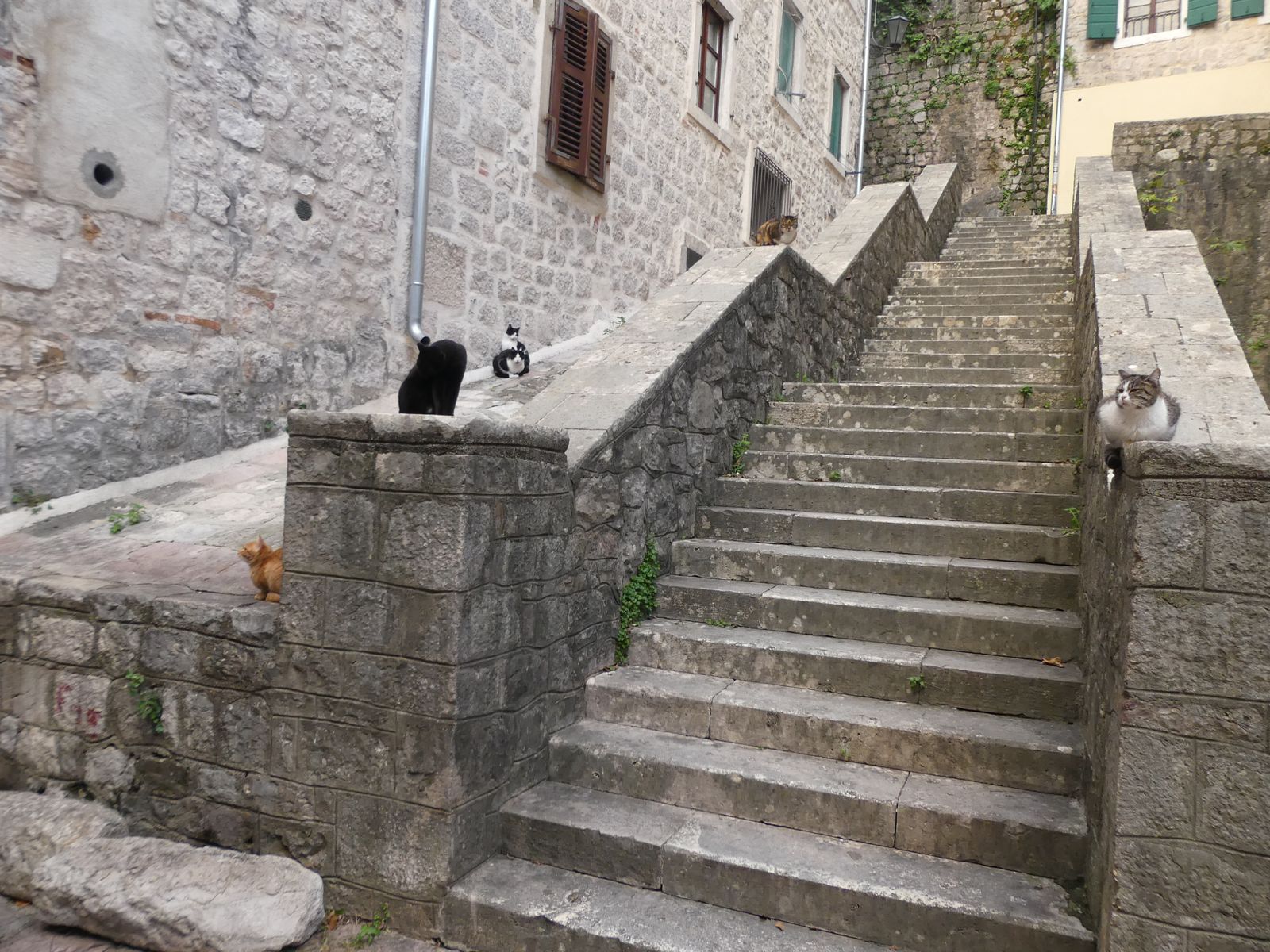 combien en voyez-vous ?