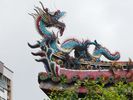 je ne me lasse pas de ces dragons