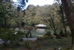 la for�t d'Alishan, une r�gion montagneuse 
