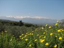 Mont Pachnes (2400m)