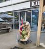la Norv�ge est le pays des trolls