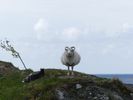 nous prenons un bus qui va nous emmener en arri�re pays. Premier arr�t sur une colline qui domine le port